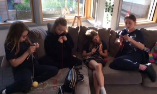 News » Knitting Club update